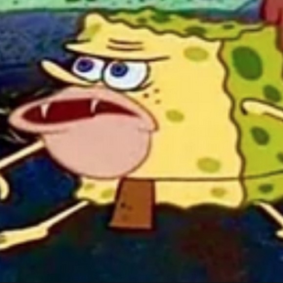 Meet your Posher, Misha - Picture 1 of 1